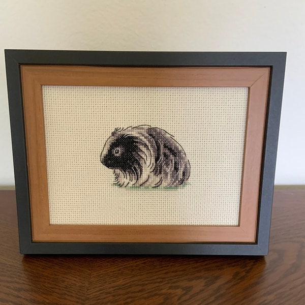 Long Haired Sheltie Guinea Pig Framed Cross Stitch