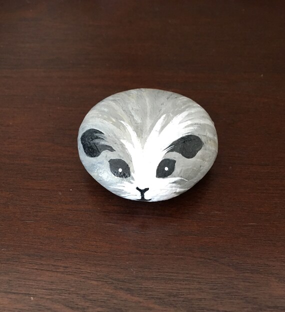 Gray And White Long Haired Guinea Pig Etsy