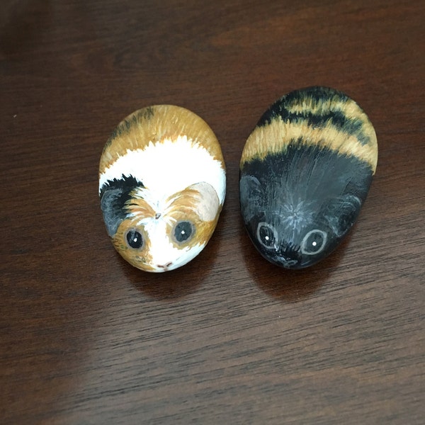 Custom Painted Guinea Pig