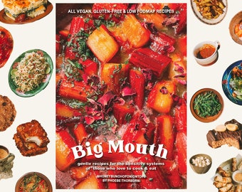 Big Mouth Cookbook (Digital PDF) ~ gentle vegan, gluten-free, low FODMAP recipes