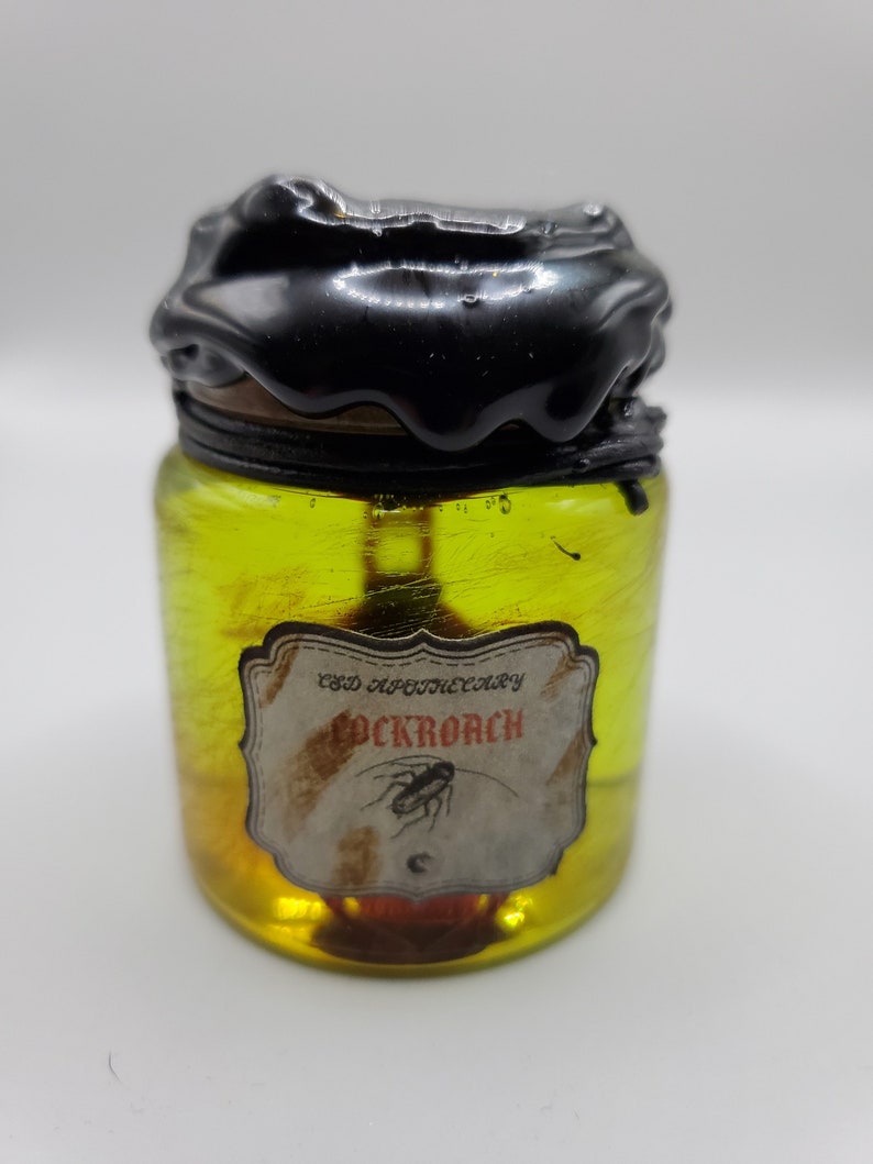 Cockroach - Etsy