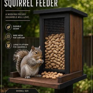 May include: A modern floating box squirrel feeder made of cedar with a black frame and wire mesh front. The feeder is filled with peanuts and features a large platform. Text includes: Modern Floating Box Squirrel Feeder, Overall Size 24" H x 10" W x 8" D.