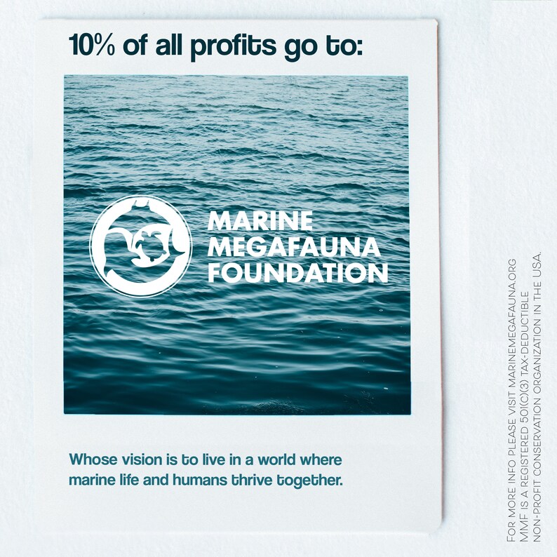 Instant Download SCUBA Safety Check BWRAF Digital Etsy