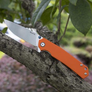 May include: A stainless steel folding knife with an orange handle is displayed on a tree branch. The knife blade is silver and has the brand name "Ruike" printed on it. The handle is a bright orange color.