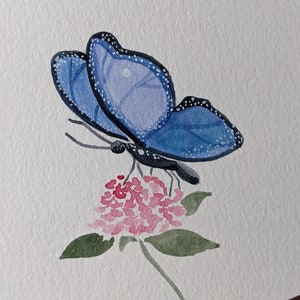 Cartão de borboleta azul, cartão de felicitações em branco com borboleta, cartão de felicitações floral, cartão de borboleta para qualquer ocasião, cartão com florais botânicos imagem 4