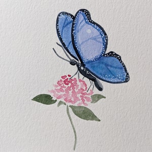 Cartão de borboleta azul, cartão de felicitações em branco com borboleta, cartão de felicitações floral, cartão de borboleta para qualquer ocasião, cartão com florais botânicos imagem 6