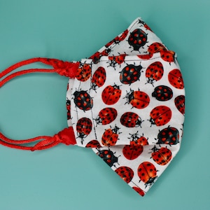 Ladybug Mask-Octagon Style