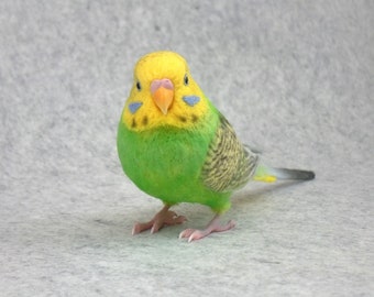 Budgerigar. Parakeet. Budgie. Handmade. Felted bird. 2111301