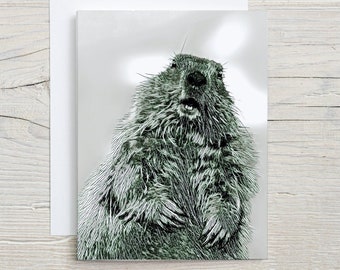 Package of 6 Groundhog Notecards with Envelopes 4.25" x 5.5" Vertical