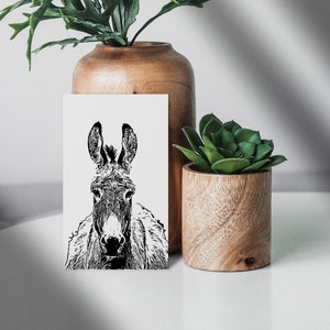 Mini notas de Sally Donkey: caja de 50 tarjetas planas de 2" x 3,5"