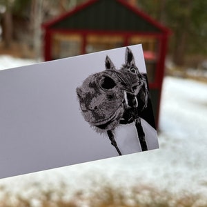 Mini notas sobre caballos: caja de 50 tarjetas planas de 2" x 3,5"