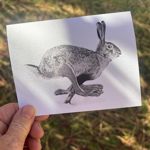 May include: A black and white illustration of a running hare on a white card. The hare is depicted in mid-stride, with its legs extended and ears perked up. The card is held against a background of green grass and sunlight.