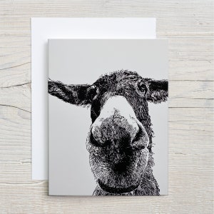 Paquet de 6 cartes pour lettres avec des ânes avec enveloppes 4,25 x 5,5 po. verticaux
