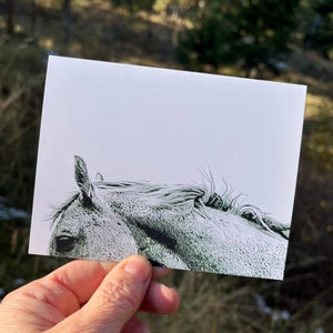 Notecard Cheval avec Enveloppe 4.25" x 5.5"