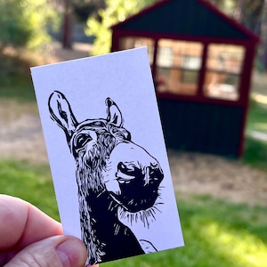 Charlie Donkey Mini Notes - Caja de 50 tarjetas planas de 2" x 3,5"