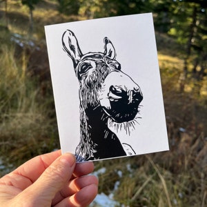Carte de correspondance âne avec enveloppe 4,25 "x 5,5" verticale