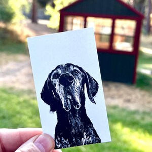Dog Mini Notes - Caja de 50 tarjetas planas de 2" x 3.5"
