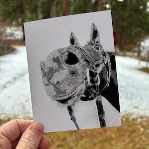 Paquet de 6 cartes pour lettres à tête de cheval avec enveloppes 4,25 x 5,5 po.