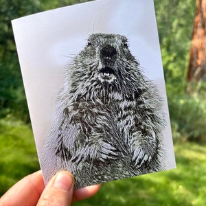Biglietto da visita marmotta con busta 4,25" x 5,5" verticale