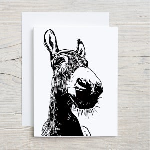 Paquet de 6 cartes pour lettres avec des ânes avec enveloppes 4,25 x 5,5 po. verticaux