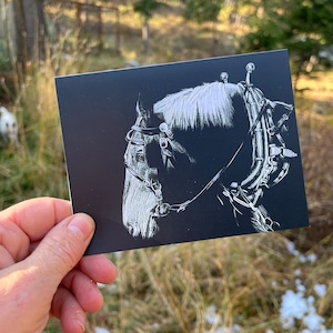 Notecard Cheval avec Enveloppe 4.25" x 5.5"