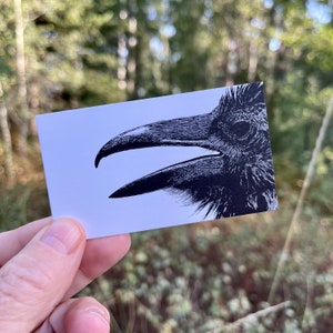 Raven Mini Notes - Pacote com 20 cartões planos de 2" x 3,5"