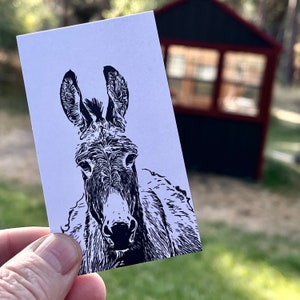 Mini notas de Sally Donkey: paquete de 20 tarjetas planas de 2" x 3,5"
