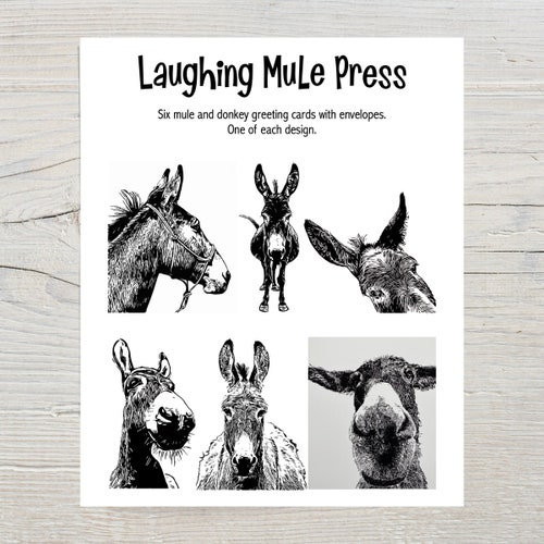 Paquet de 6 cartes de correspondance Donkey & Mule avec enveloppes 4,25 "x 5,5"