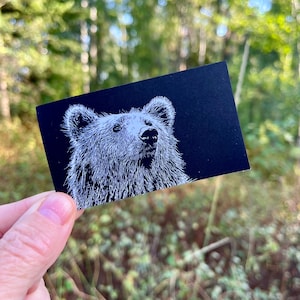 Bear Mini Notes - Caixa com 50 cartões planos de 2" x 3,5"