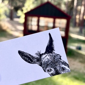 Donkey Mini Notes - Caja de 50 tarjetas planas de 2" x 3,5"