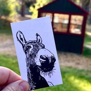 Charlie Donkey Mini Notes - Paquete de 20 tarjetas planas de 2" x 3,5"