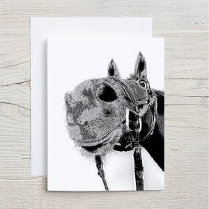 Carte pour lettres à tête de cheval avec enveloppe 4,25 x 5,5 po.