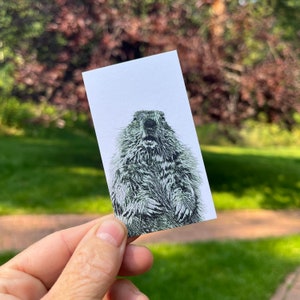 Mini Notas da Marmota - Caixa com 50 cartões planos de 2" x 3,5"