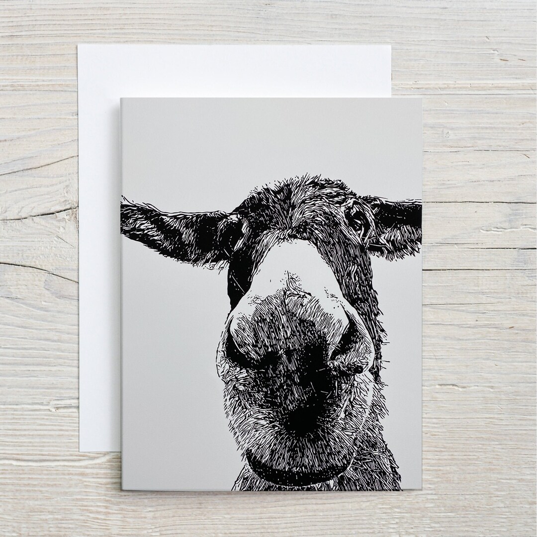 Package of 6 Donkey Notecards With Envelopes 4.25