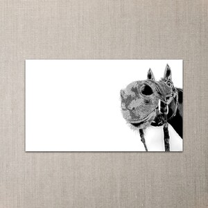 Horse Mini Notes - Pacote com 20 cartões planos de 2" x 3,5"