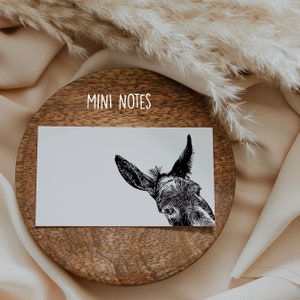 Donkey Mini Notes - Box of 50 2" x 3.5" flat cards