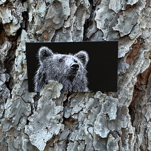 Mini notas de oso: paquete de 20 tarjetas planas de 2" x 3,5"
