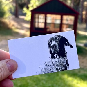 Fred Dog Mini Notes - Caja de 50 tarjetas planas de 2" x 3,5"