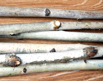 Birch Tree Branch, Birch Sticks, Birch Wood Logs, Decorative Birch Twigs, Birch Bark Wedding Decor, Rustic Decor, Birch Sticks For Handmade
