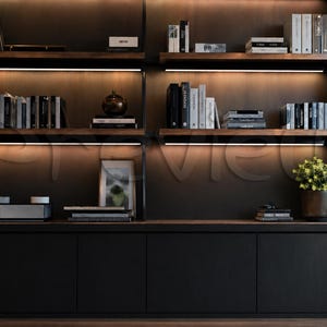 Puede incluir: Una estantería de madera oscura con iluminación integrada, que muestra libros, objetos decorativos y una foto enmarcada. La sección inferior presenta armarios negros. Una planta en maceta añade un toque de vegetación.