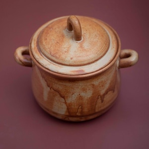 Pode incluir: Uma panela de cerâmica marrom com tampa e duas alças. A panela tem um esmalte salpicado e um visual rústico.