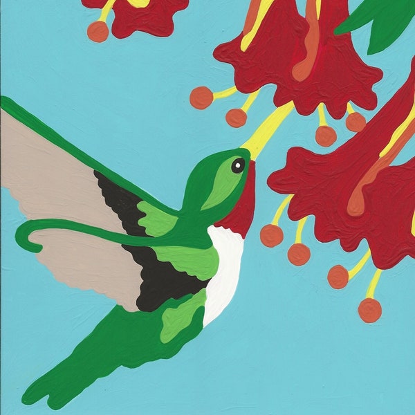 Hummingbird Paint by Number Etsy