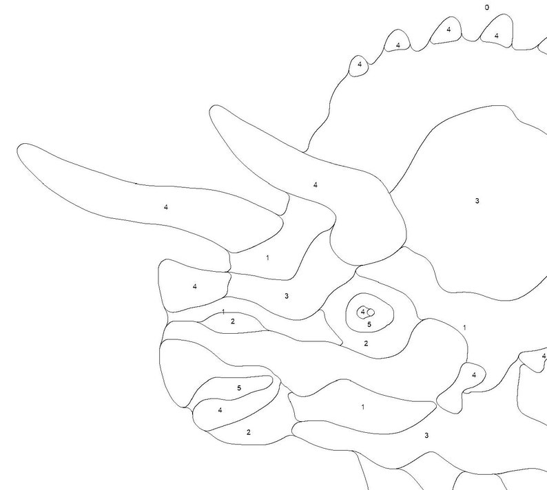 Dinosaur Paint by Number Kit Etsy