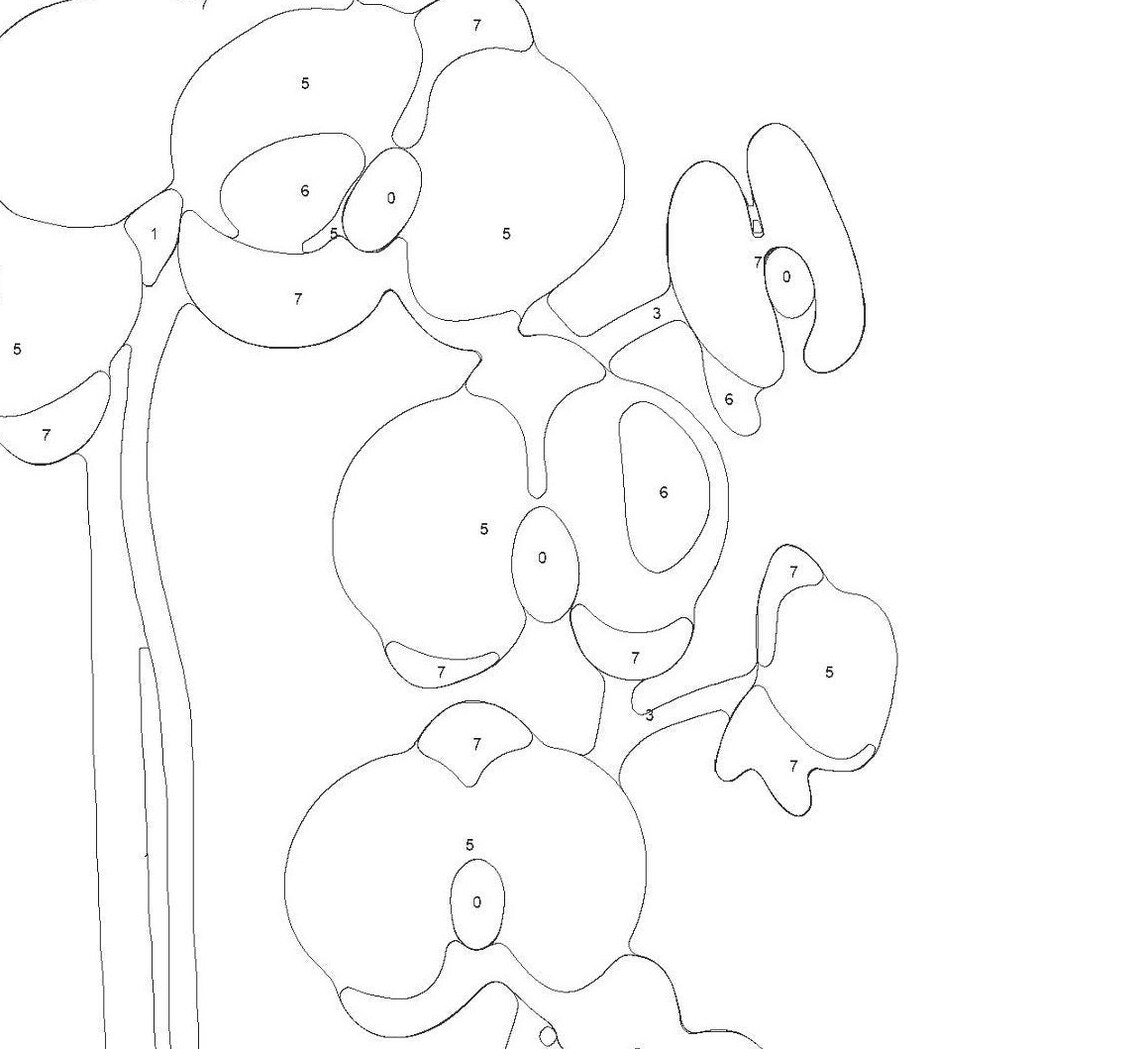 Orchid Paint by Number Kit Etsy