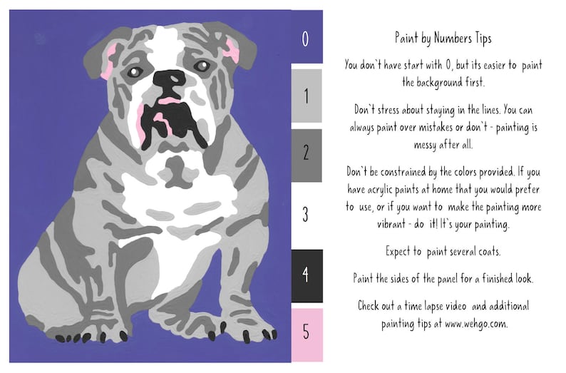 Bulldog Paint by Number Kit Etsy