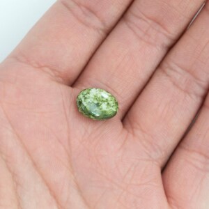 May include: An oval-shaped, green and white gemstone bead. The bead has a speckled pattern and a polished surface. The bead is held in an open hand against a white background. The bead is approximately 0.5 inches in length.