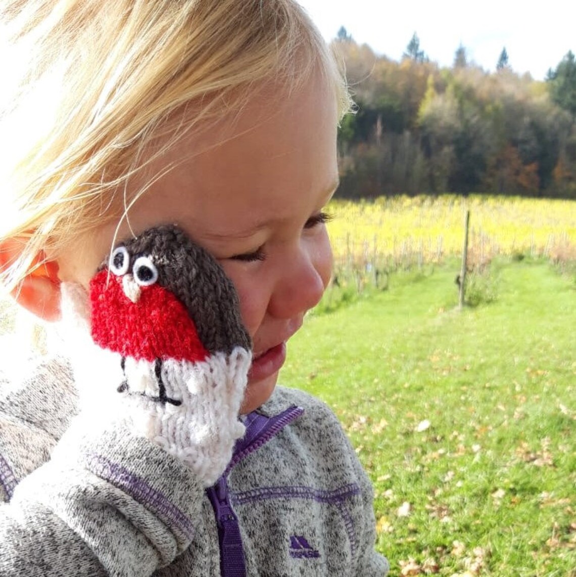 Robin Mittens Knitting Pattern: Winter Snowbird Design (PDF Pattern) - Etsy
