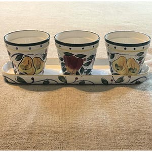 Vtg Jay Ceramic Herb Planter Set 3 Pots with Tray Hand Painted Fruit Pear Apple