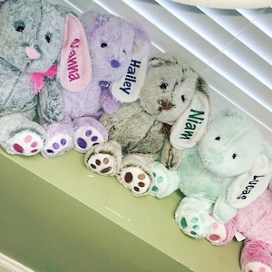 VERKOOP!! Gepersonaliseerde paashaas knuffeldier gepersonaliseerd konijn / paasmand cadeau / paashaas cadeau / paascadeau /