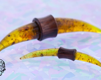 Reconstituted Amber Curved Tusks and Spikes for Septum